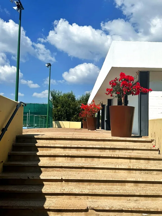 Escalinata y terraza con bugambilias en Club Sportika